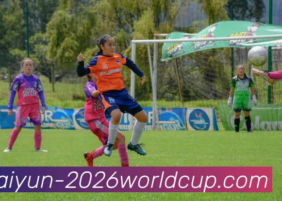 多媒体互动体验